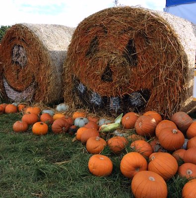Two painted hay bales to look like pumpkins